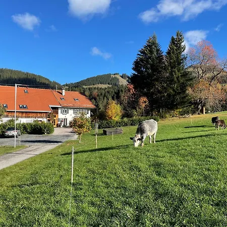 Appartement Am Hof Jungholz