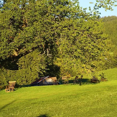 Am Hof